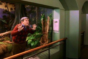 Dudley stuck in the exhibit